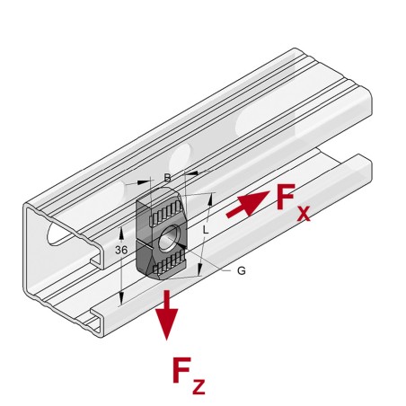 Piastra Dentata S M10 (Conf 100pz)