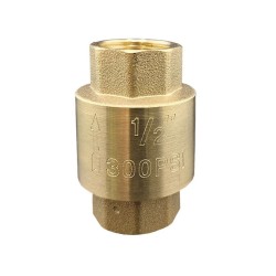 Valvola di Ritegno DCV 1/2" Ottone