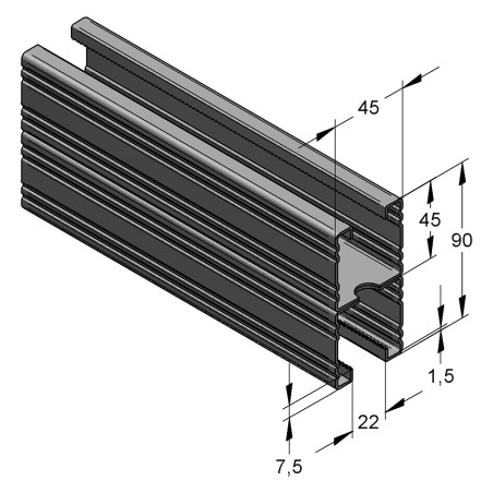 Binario Doppio 45/90/1,5 L=6 RAL fbv