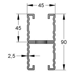 Binario Doppio 45/90/2,5 L=6 RAL fbv