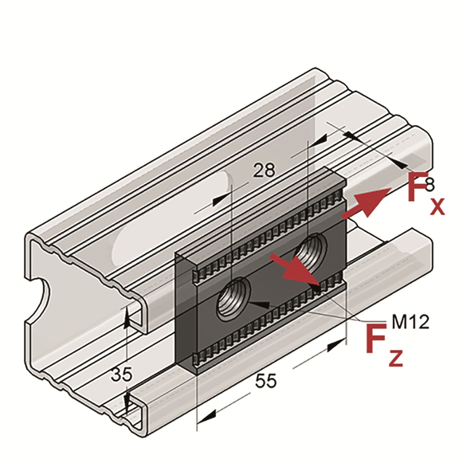 Piastra Dentata 2-Fori M12 (Conf 50pz)