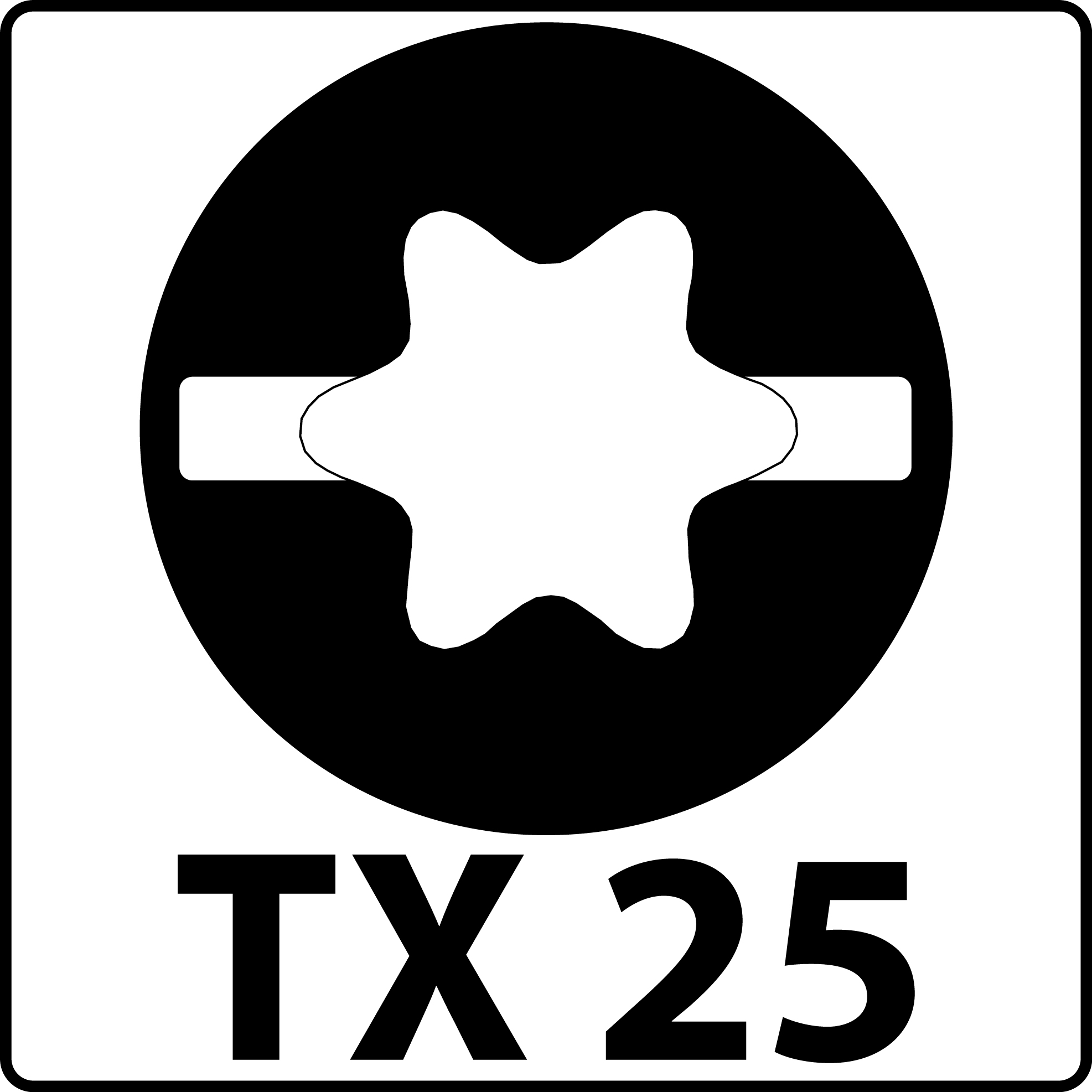 0037-Torx 25