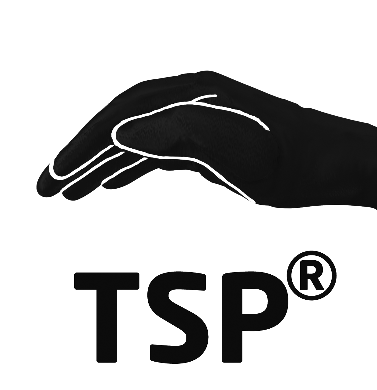 0030-TSP(R)_Icon_20160523_OhneRahmen